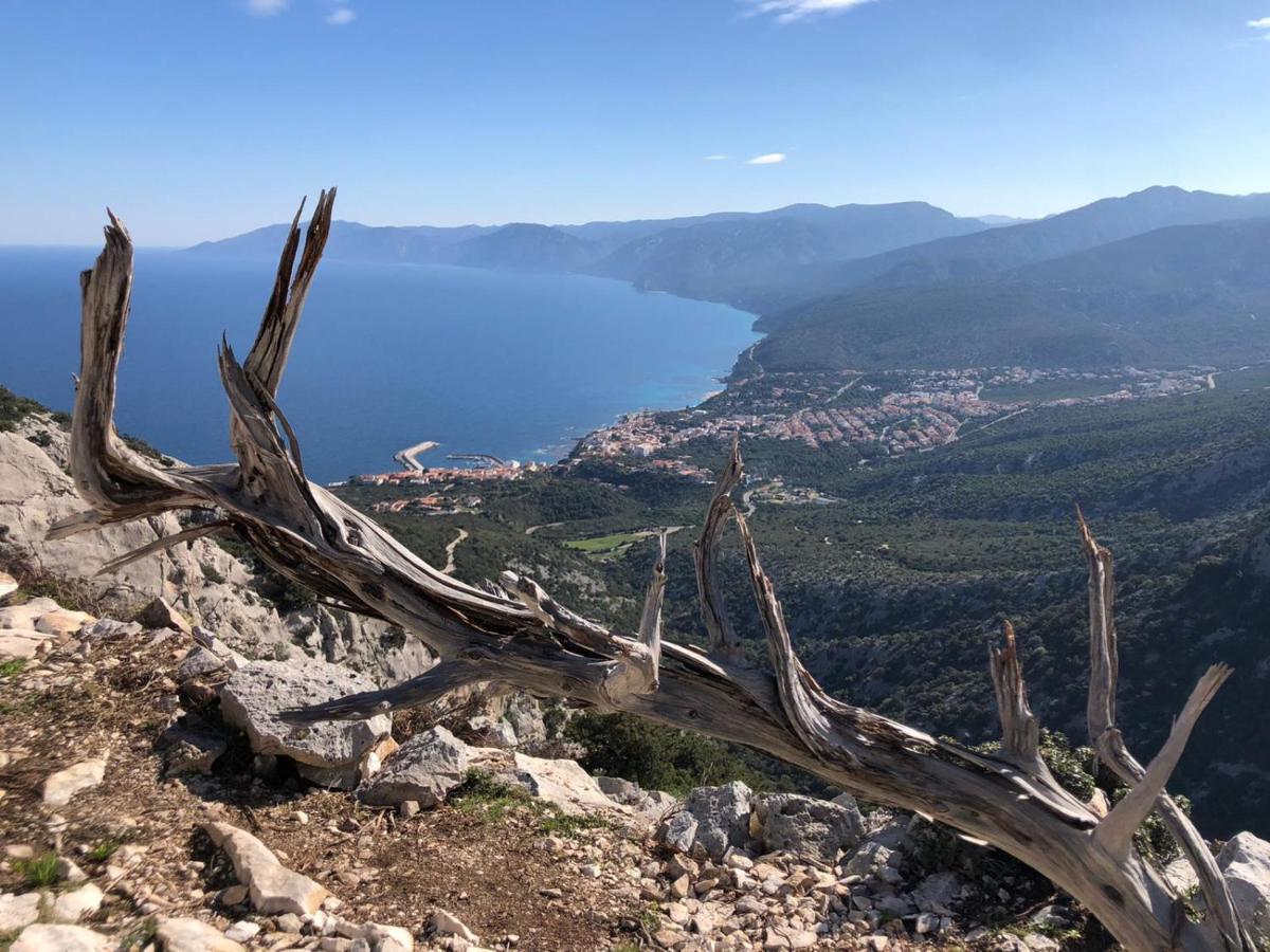Appartamento Meduse Cala Gonone Exterior foto